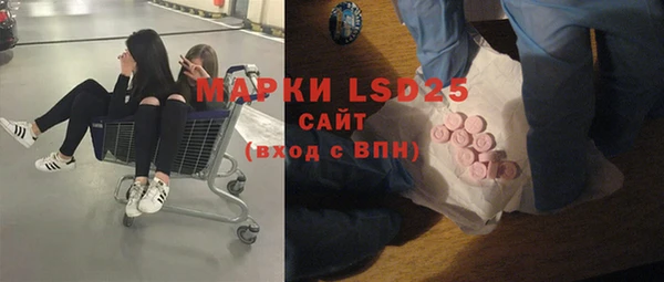 ГАЛЛЮЦИНОГЕННЫЕ ГРИБЫ Покров