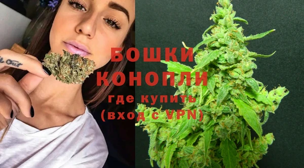 крисы Покачи