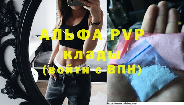 ГАЛЛЮЦИНОГЕННЫЕ ГРИБЫ Покров