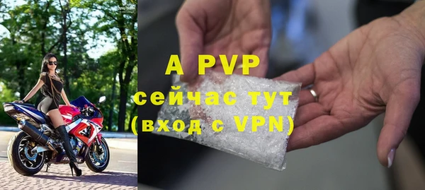 ГАЛЛЮЦИНОГЕННЫЕ ГРИБЫ Покров