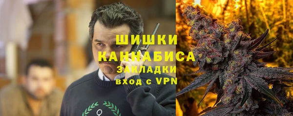 крисы Покачи