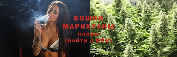 ГАЛЛЮЦИНОГЕННЫЕ ГРИБЫ Покров