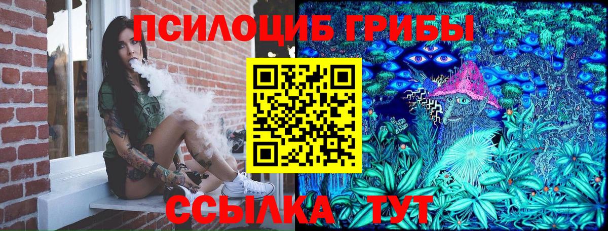 Кизляр  Галлюциногенные грибы Magic Shrooms  Вход с VPN 